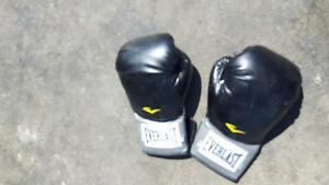 Everlast 16oz boxing gloves