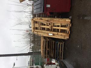 Free firewood and/or pallets