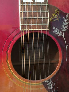 Ibanez Concord 12 string