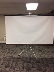 Portable screen