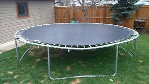Trmpoline