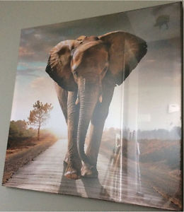 Wall art walking elephant