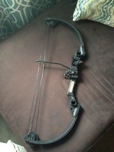 Wanted: Compound bow