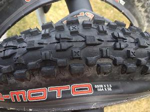 two mtb Pacenti Neo-moto Tires