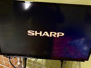 32 inch Sharp TV with four year warranty from Best Buy.