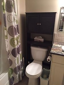 Bathroom space saver