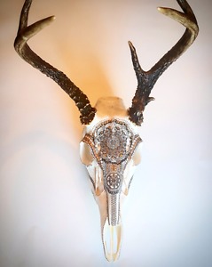 Deer skull with mandala