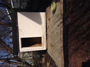 Dog house and heat lamp