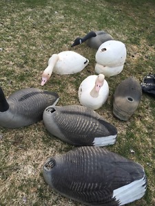 GUC Hunting decoys - stackable Snow and Canada Geese shells