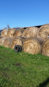 Hay for sale.