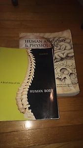 Human Anatomy and Physiology Textbook