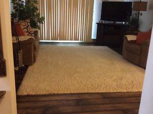 Lovely white shag rug 8ft by 10'6"