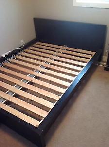 Malm Queen IKEA bed frame
