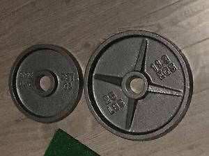 Olympic weights