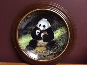 Panda and Baby in Frame