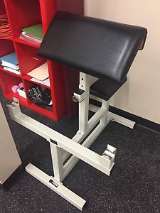 Preacher Curl Bench by Paramount
