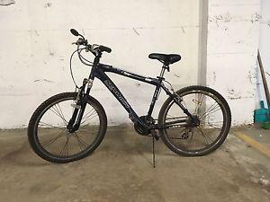 Schwinn 24 speed mountain bike