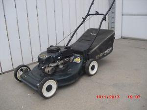 gas lawnmower with bag