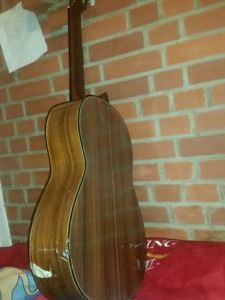 $700 msrp rosewood and cedar guitar for less than 1/2 price