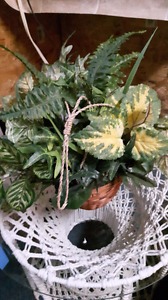 Artificial hanging plant
