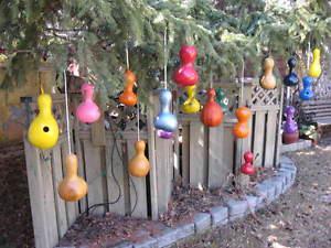 BIRD HOUSES - (Made from GOURDS)