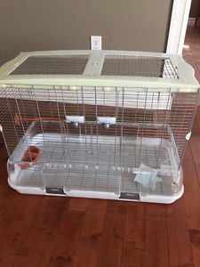 Large Vision bird cage