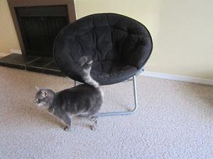 Mini papazan chair