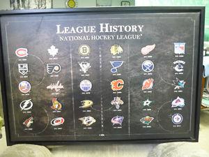  Official NHL Merchandise League History Logo's