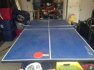 Ping Pong Table Used
