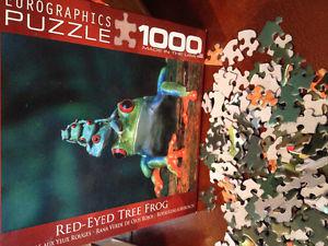 Red Eyed Tree Frog  piece puzzle