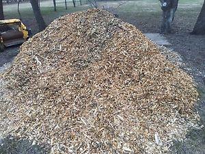 Tree Mulch