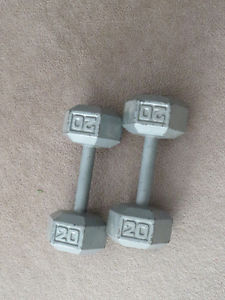 20 lb weights