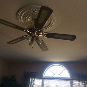 Ceiling light and fan