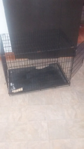 Dog kennel