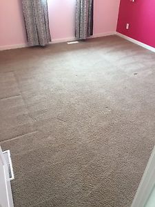 FREE Carpet