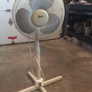 Floor fan