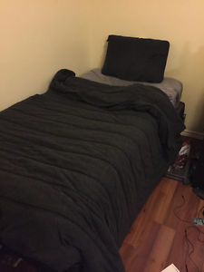 Twin Bed + Boxspring