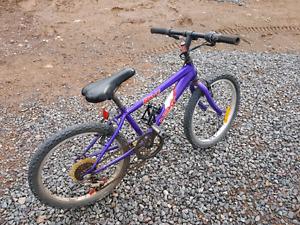 14 inch Girls Bicycle