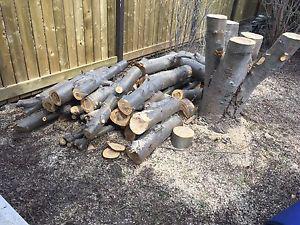 Ash Firewood For Sale