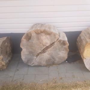 Large maple slabs