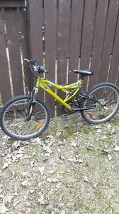 Mountain Bike 20"