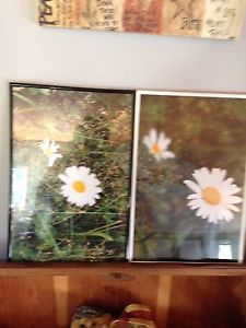 Set of two pictures/frames
