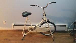 Stationary Bicycle