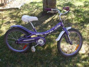 20" Girls bike