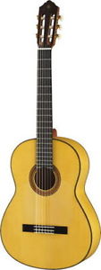 Flamenco guitar