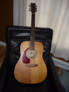 Left Handed Norman Guitar