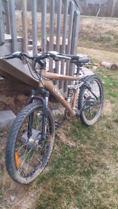 Mountain bike