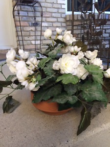 SILK WHITE BLOOMING PLANT - $10