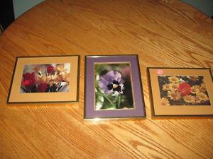 Set of 3 Wall Pictures