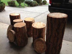 Tree Stump side table - $50
